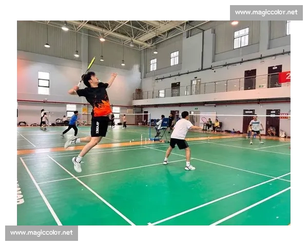 羽毛球精彩对决实时直播，全球赛事尽在掌握，跟随比赛节奏一同畅享激情时刻